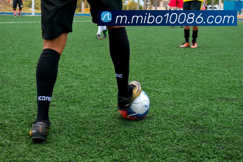 米博体育平台生态图